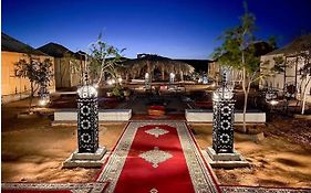 Luxury Camp & Activities